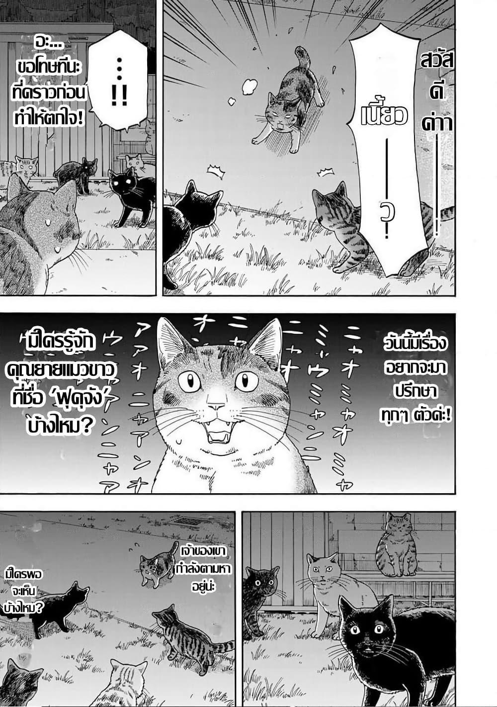 Manga-lc-com อ่านมังงะ อ่านการ์ตูน ออนไลน์ ฟรี Yuzuki Becomes A Cat ตอนที่ 1 2 3 4 5 6 7 8 9 10 11 12 13 14 ฟรี ไม่มีโฆษณา Manga-lc - อ่าน มังงะ อ่าน การ์ตูน ออนไลน์ อ่านมังงะ ฟรี