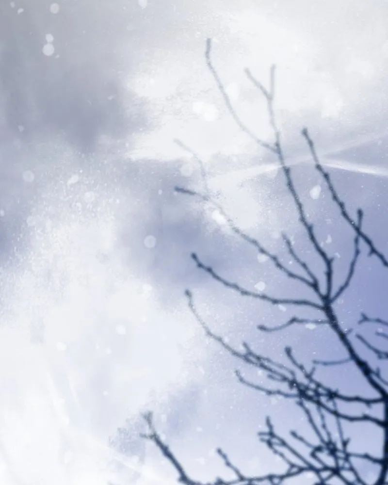 เซเรน่า ตอนที่ 104 รูปที่ 88