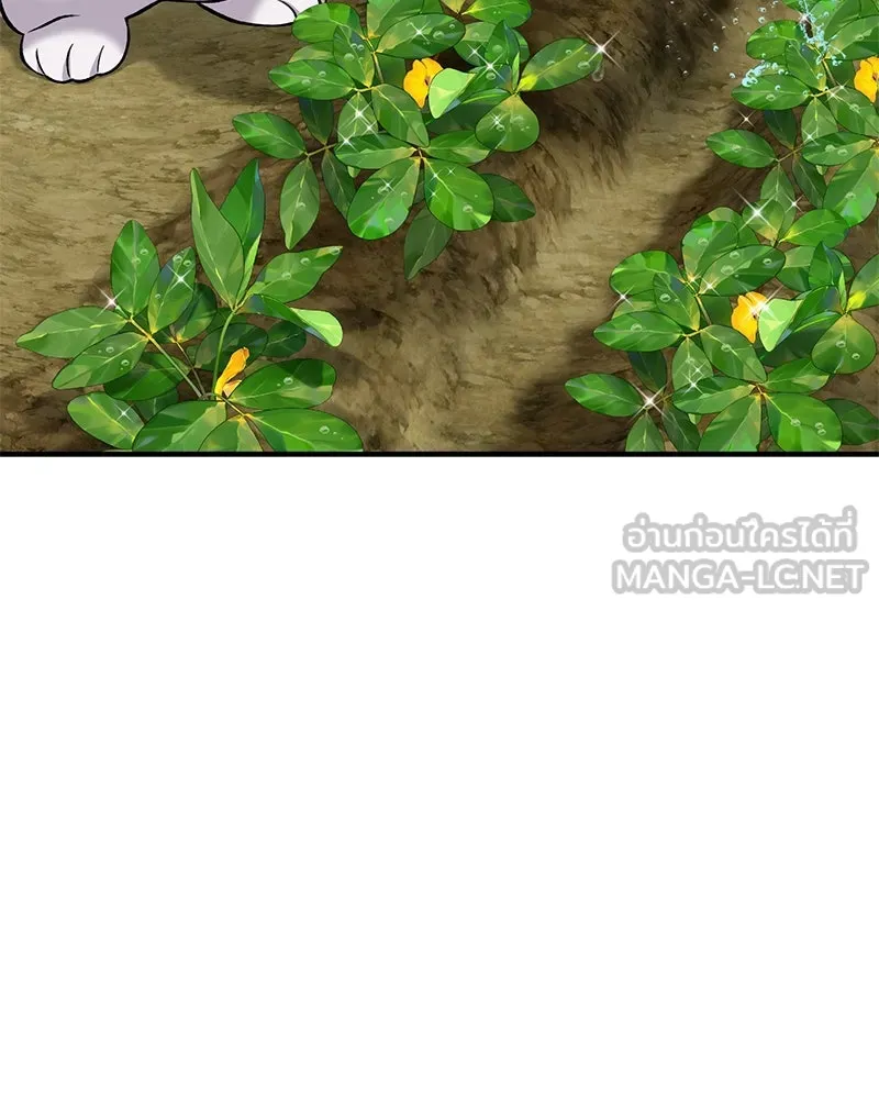 ปลูกผักพิชิตหอคอย ตอนที่ 58 รูปที่ 66