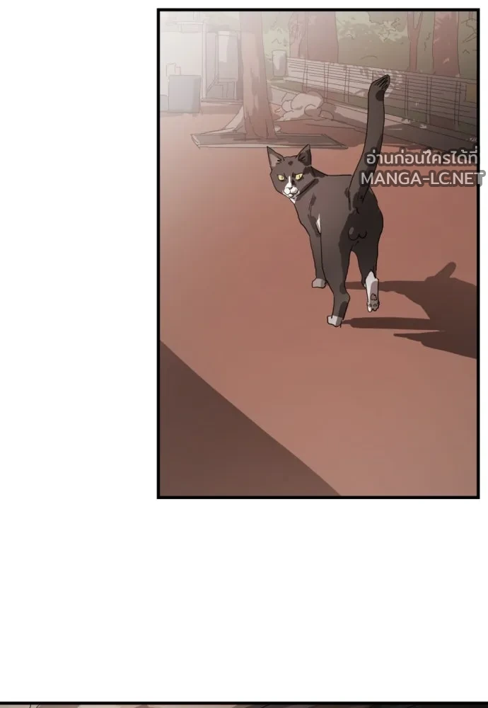 Manga-lc-com อ่านมังงะ อ่านการ์ตูน ออนไลน์ ฟรี วันดีคืนดี โซลก็ ตอนที่ 1 2 3 4 5 6 7 8 9 10 11 12 13 14 ฟรี ไม่มีโฆษณา Manga-lc - อ่าน มังงะ อ่าน การ์ตูน ออนไลน์ อ่านมังงะ ฟรี