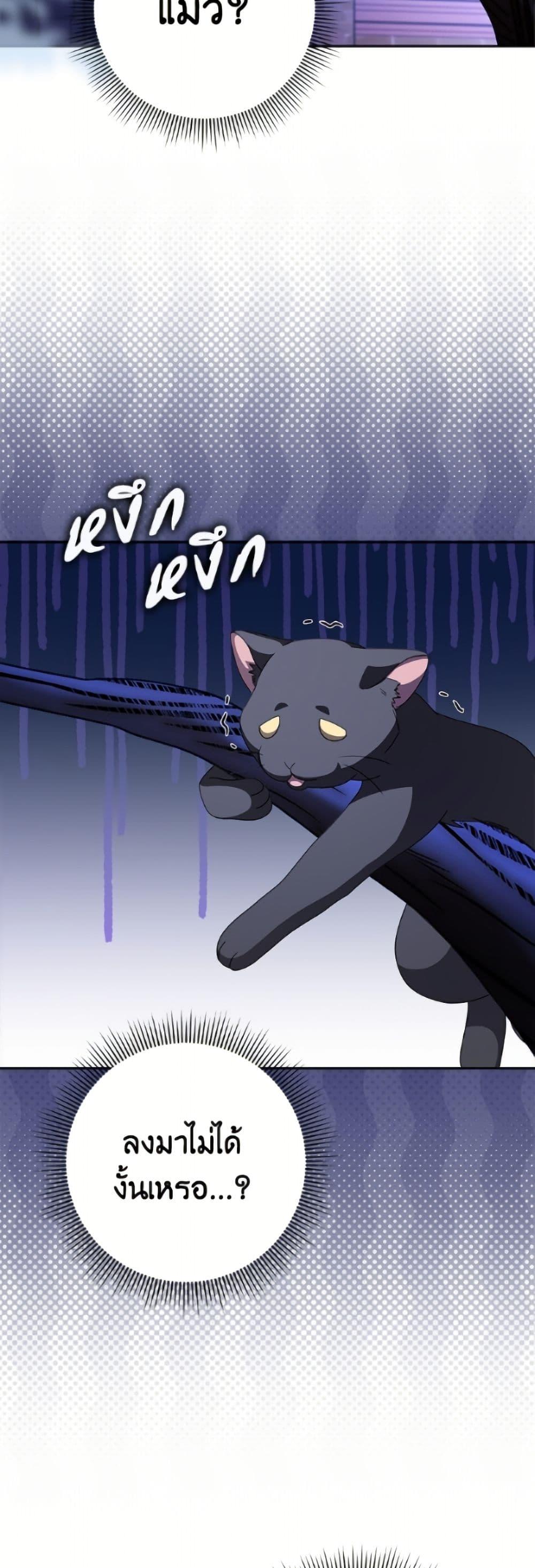 Manga-lc-com อ่านมังงะ อ่านการ์ตูน ออนไลน์ ฟรี Cinderella Disappeared ตอนที่ 1 2 3 4 5 6 7 8 9 10 11 12 13 14 ฟรี ไม่มีโฆษณา Manga-lc - อ่าน มังงะ อ่าน การ์ตูน ออนไลน์ อ่านมังงะ ฟรี