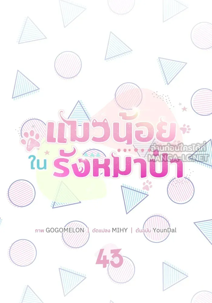 แมวน้อยในรังหมาป่า ตอนที่ 43 รูปที่ 15