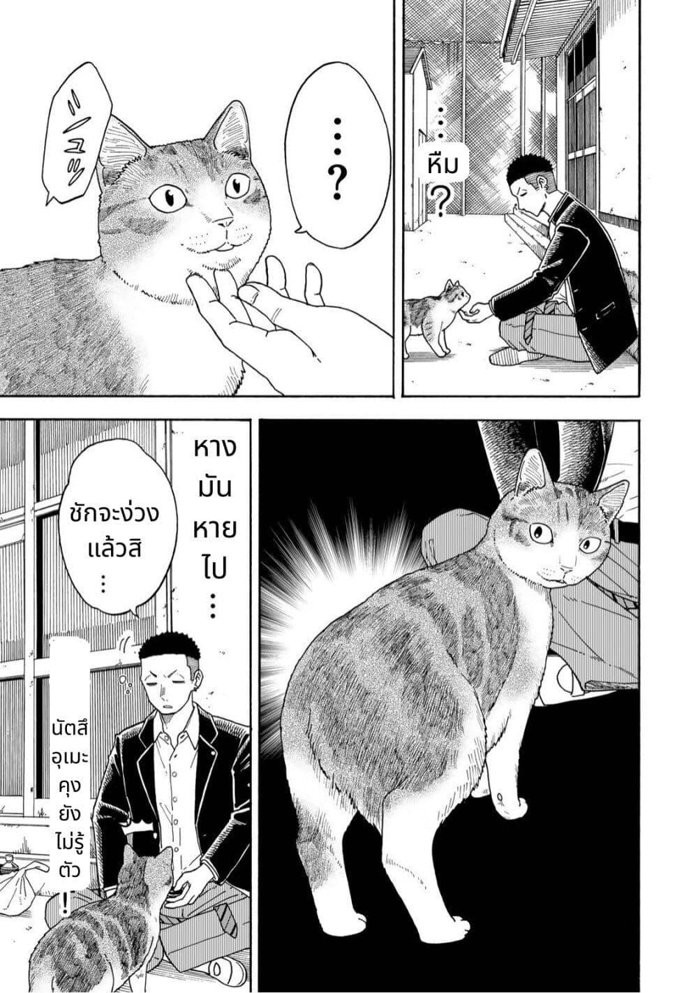 Manga-lc-com อ่านมังงะ อ่านการ์ตูน ออนไลน์ ฟรี Yuzuki Becomes A Cat ตอนที่ 1 2 3 4 5 6 7 8 9 10 11 12 13 14 ฟรี ไม่มีโฆษณา Manga-lc - อ่าน มังงะ อ่าน การ์ตูน ออนไลน์ อ่านมังงะ ฟรี