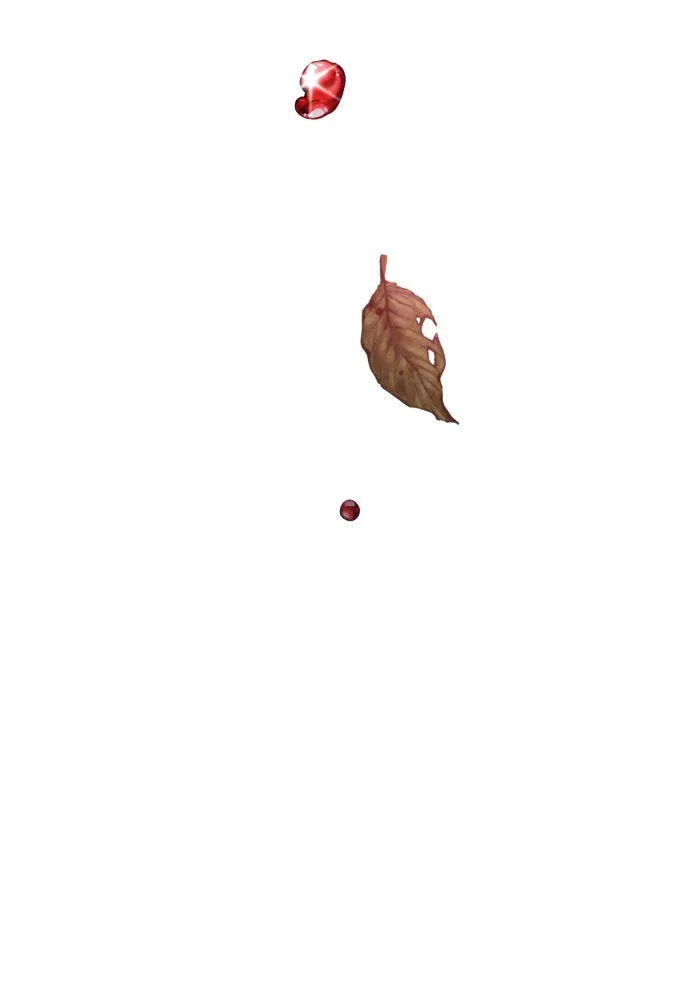 ชิงชีวิตพลิกลิขิตชะตา ตอนที่ 189. ไม่เจอกันตั้งนาน รูปที่ 113