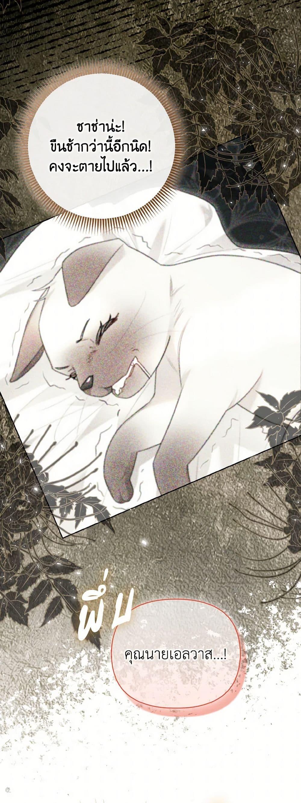 Manga-lc-com อ่านมังงะ อ่านการ์ตูน ออนไลน์ ฟรี I Possessed a Villainess, but I Wanna Raise Cats! ตอนที่ 1 2 3 4 5 6 7 8 9 10 11 12 13 14 ฟรี ไม่มีโฆษณา Manga-lc - อ่าน มังงะ อ่าน การ์ตูน ออนไลน์ อ่านมังงะ ฟรี