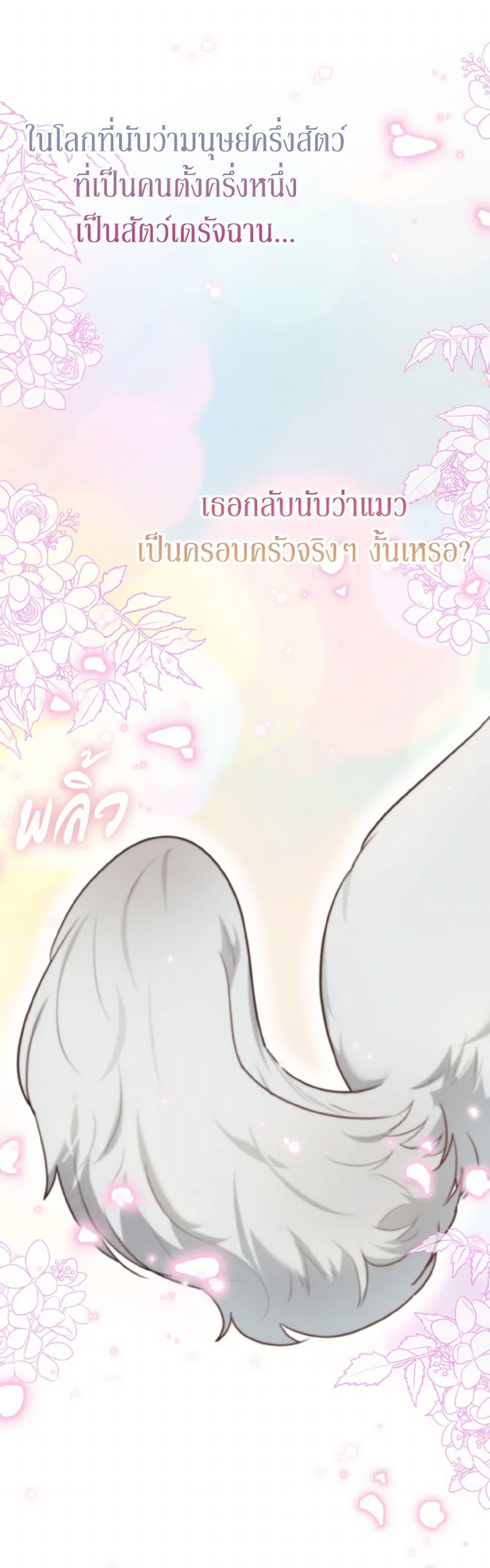 Manga-lc-com อ่านมังงะ อ่านการ์ตูน ออนไลน์ ฟรี I Possessed a Villainess, but I Wanna Raise Cats! ตอนที่ 1 2 3 4 5 6 7 8 9 10 11 12 13 14 ฟรี ไม่มีโฆษณา Manga-lc - อ่าน มังงะ อ่าน การ์ตูน ออนไลน์ อ่านมังงะ ฟรี