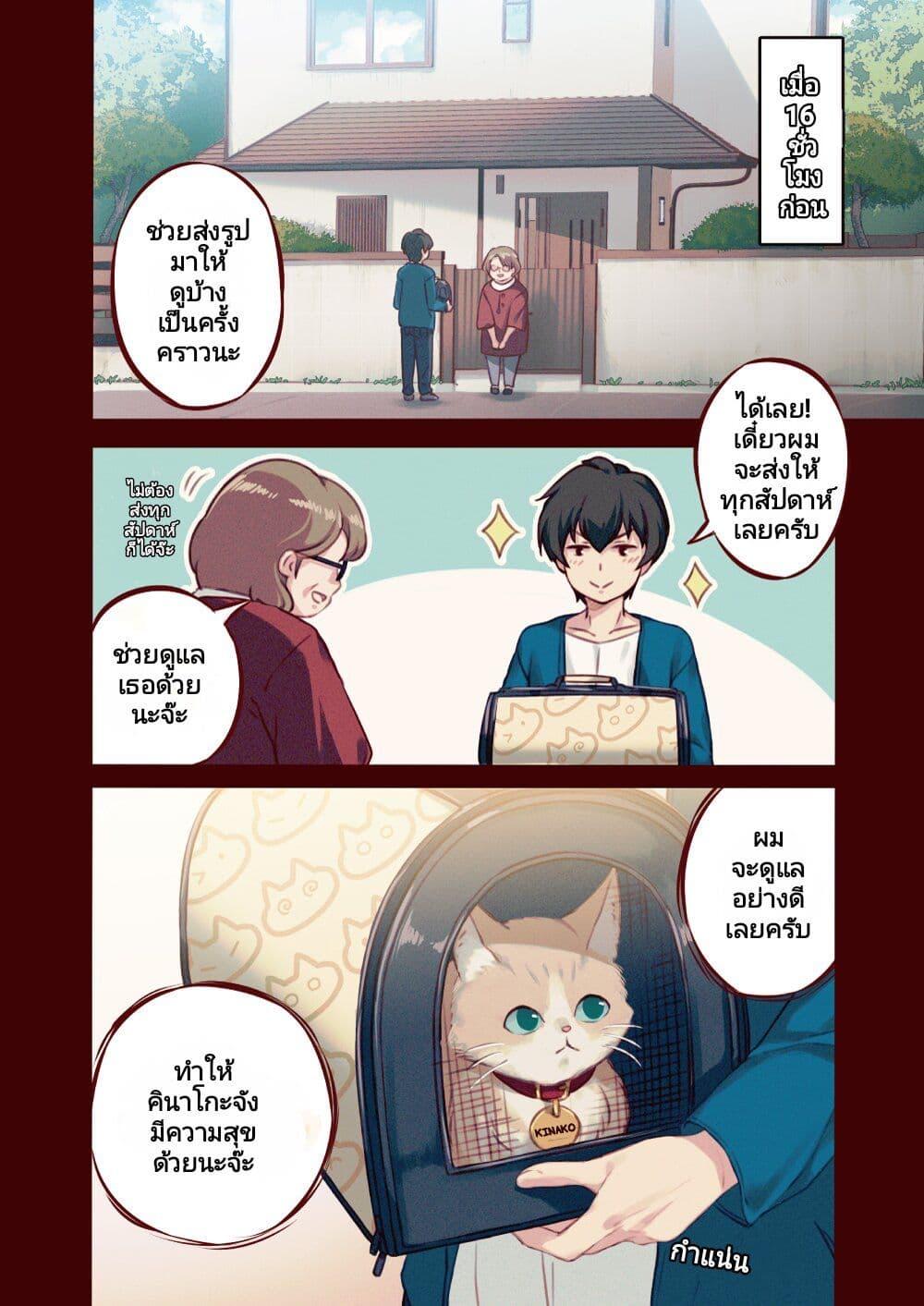 Manga-lc-com อ่านมังงะ อ่านการ์ตูน ออนไลน์ ฟรี My Cat Is a Kawaii Girl ตอนที่ 1 2 3 4 5 6 7 8 9 10 11 12 13 14 ฟรี ไม่มีโฆษณา Manga-lc - อ่าน มังงะ อ่าน การ์ตูน ออนไลน์ อ่านมังงะ ฟรี