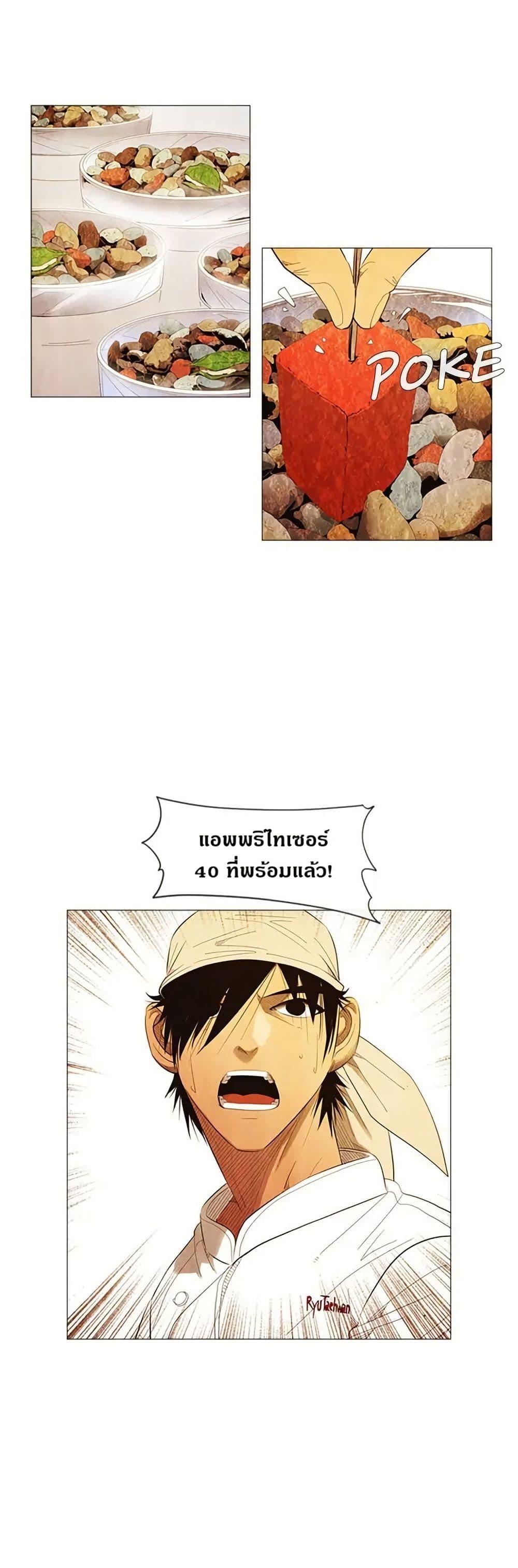 Manga-lc-com อ่านมังงะ อ่านการ์ตูน ออนไลน์ ฟรี Michelin Star ตอนที่ 1 2 3 4 5 6 7 8 9 10 11 12 13 14 ฟรี ไม่มีโฆษณา Manga-lc - อ่าน มังงะ อ่าน การ์ตูน ออนไลน์ อ่านมังงะ ฟรี