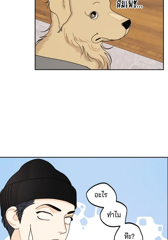 จริง ๆ แล้ว โอบารัมน่ะ… ตอนที่ 60 รูปที่ 40