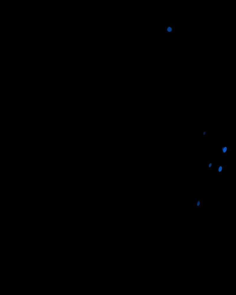 เซเรน่า ตอนที่ 31 รูปที่ 82