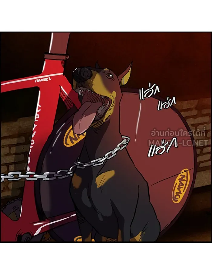 ปั่นสู้ฝันbrWind Breaker ตอนที่ 38 รูปที่ 27