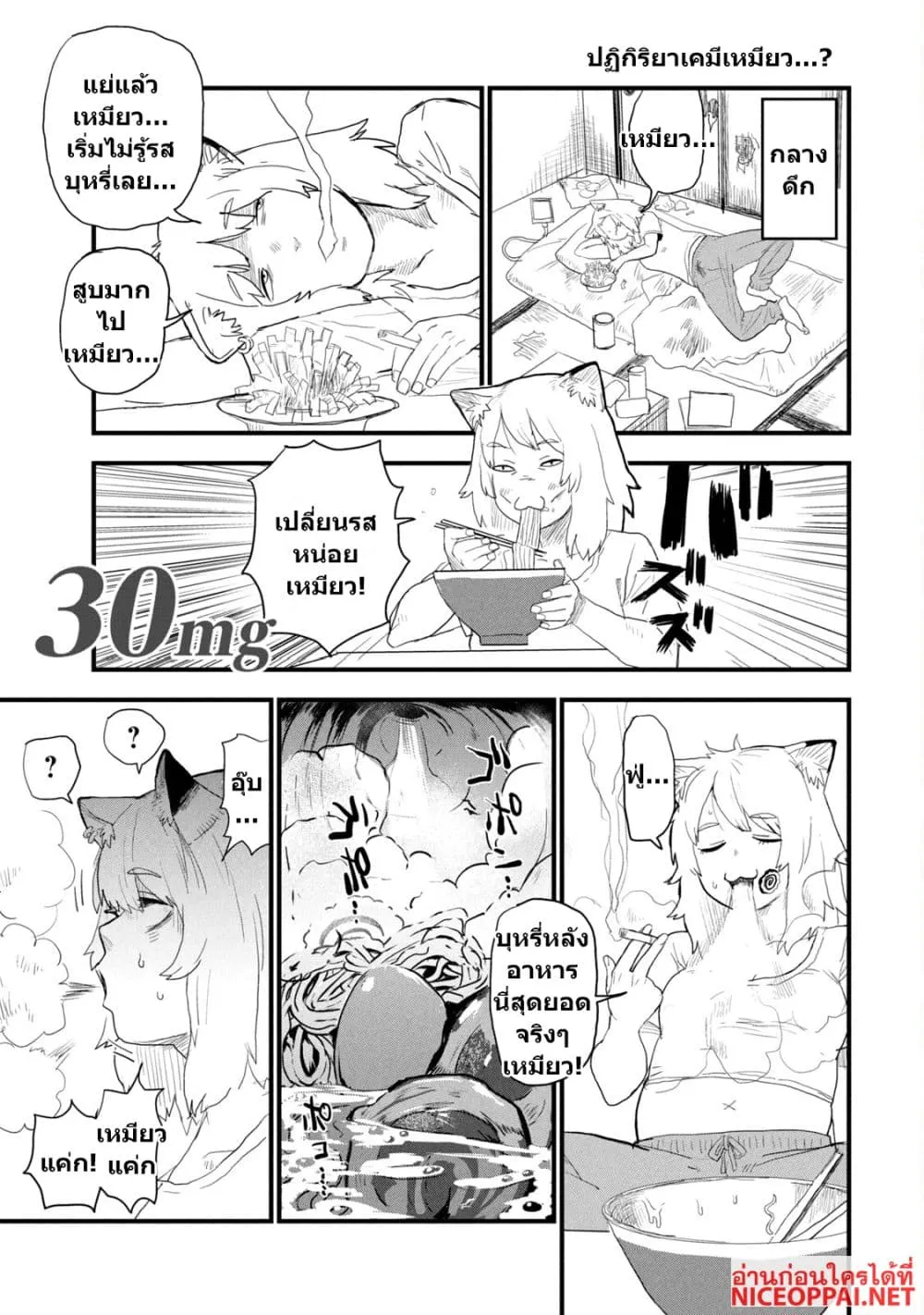 Manga-lc-com อ่านมังงะ อ่านการ์ตูน ออนไลน์ ฟรี Yani Neko ตอนที่ 1 2 3 4 5 6 7 8 9 10 11 12 13 14 ฟรี ไม่มีโฆษณา Manga-lc - อ่าน มังงะ อ่าน การ์ตูน ออนไลน์ อ่านมังงะ ฟรี
