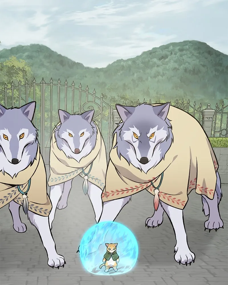 ปลูกผักพิชิตหอคอย ตอนที่ 84 รูปที่ 239