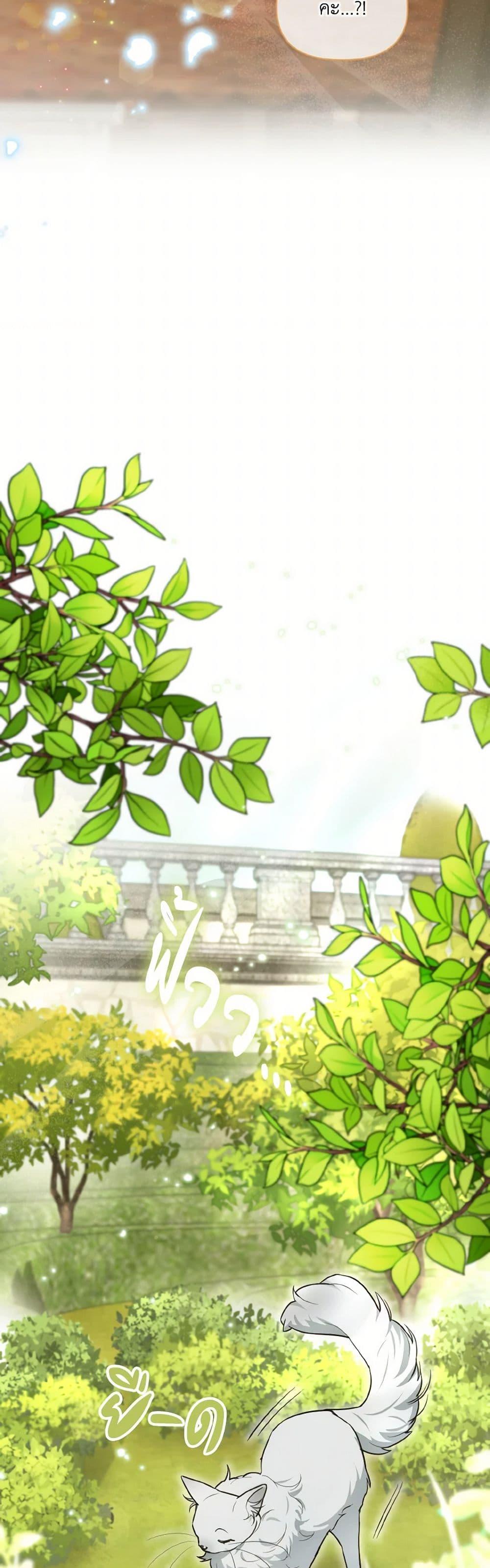 Manga-lc-com อ่านมังงะ อ่านการ์ตูน ออนไลน์ ฟรี I Possessed a Villainess, but I Wanna Raise Cats! ตอนที่ 1 2 3 4 5 6 7 8 9 10 11 12 13 14 ฟรี ไม่มีโฆษณา Manga-lc - อ่าน มังงะ อ่าน การ์ตูน ออนไลน์ อ่านมังงะ ฟรี