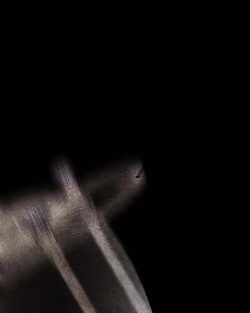 เกิดอีกทีเป็นว่าที่ประมุขลัทธิมาร ตอนที่ 120 รูปที่ 29