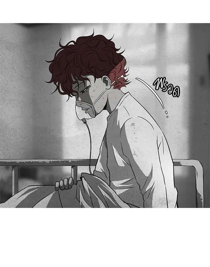 ปั่นสู้ฝันbrWind Breaker ตอนที่ 53 รูปที่ 50