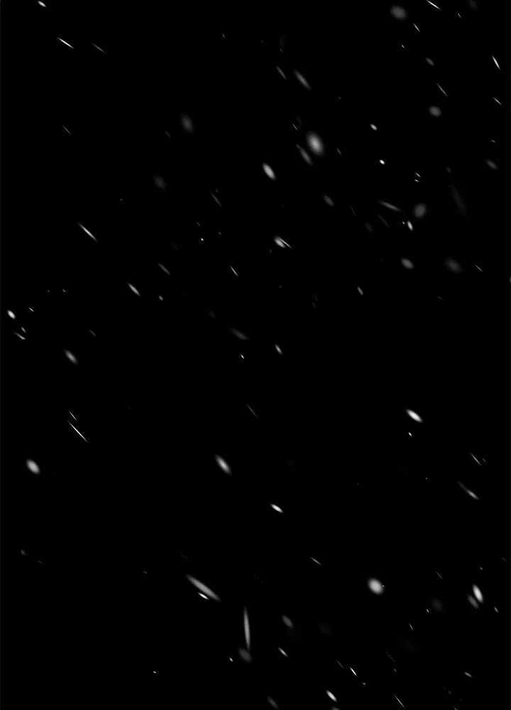 องค์ชายผู้อื้อฉาว ตอนที่ 123 (จบซีซัน 3) รูปที่ 76