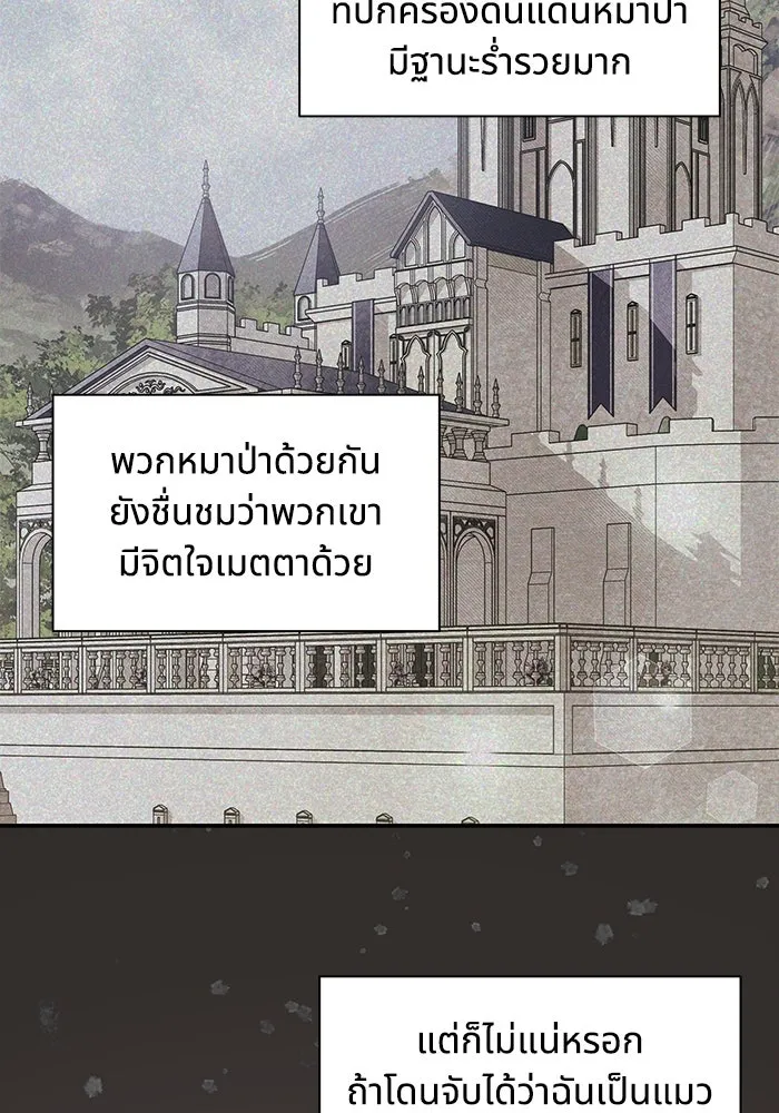 แมวน้อยในรังหมาป่า ตอนที่ 1 รูปที่ 62