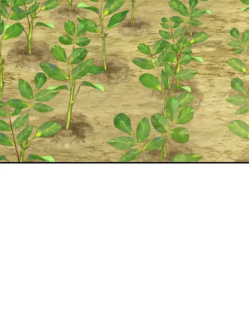 ปลูกผักพิชิตหอคอย ตอนที่ 49 รูปที่ 170