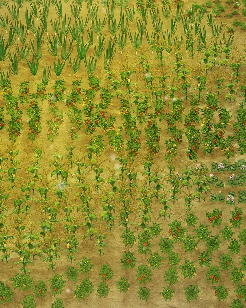 ปลูกผักพิชิตหอคอย ตอนที่ 31 รูปที่ 124