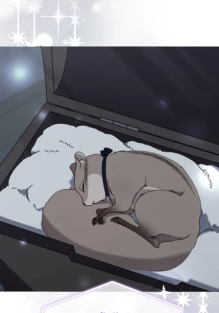 ชีวิตใหม่ในตระกูลมือสังหาร ตอนที่ 66 รูปที่ 22