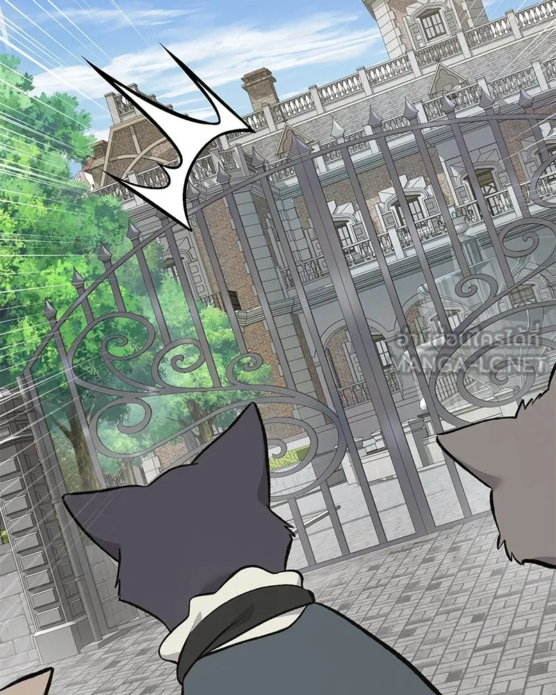 ปลูกผักพิชิตหอคอย ตอนที่ 73 รูปที่ 201