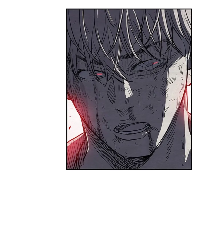 ปั่นสู้ฝันbrWind Breaker ตอนที่ 50 รูปที่ 53