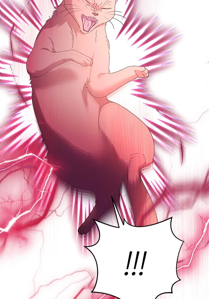 ชีวิตใหม่ในตระกูลมือสังหาร ตอนที่ 59 รูปที่ 20