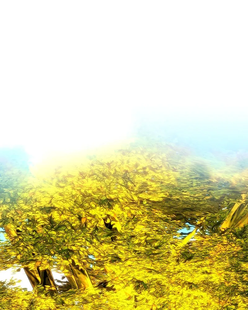 เจ้าหญิงคลั่งแห่งวังหลวง ตอนที่ 53 รูปที่ 85