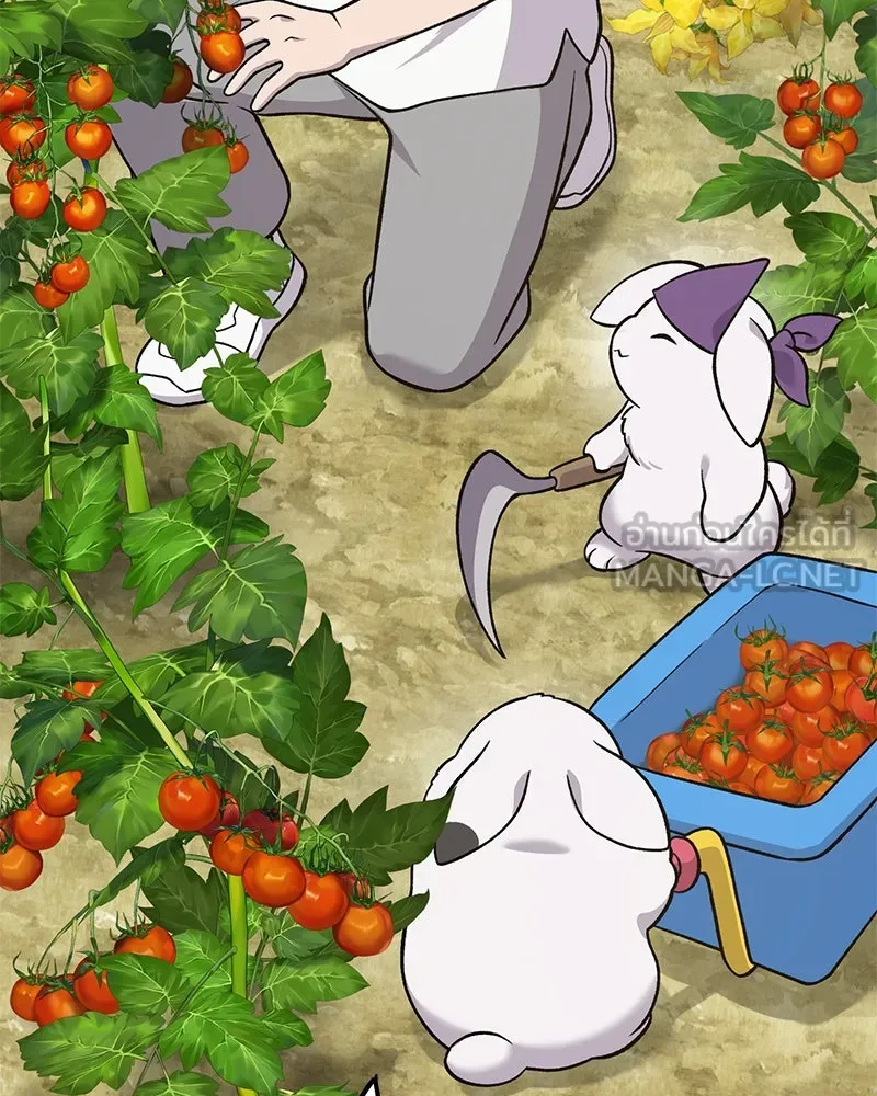 ปลูกผักพิชิตหอคอย ตอนที่ 52 รูปที่ 15