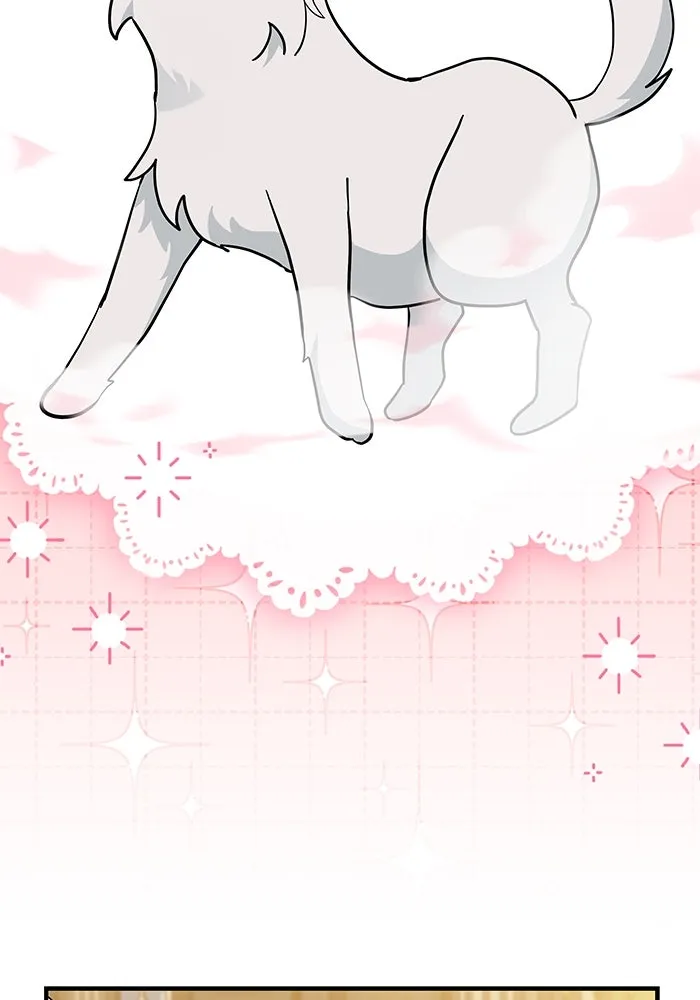 แมวน้อยในรังหมาป่า ตอนที่ 41 รูปที่ 7