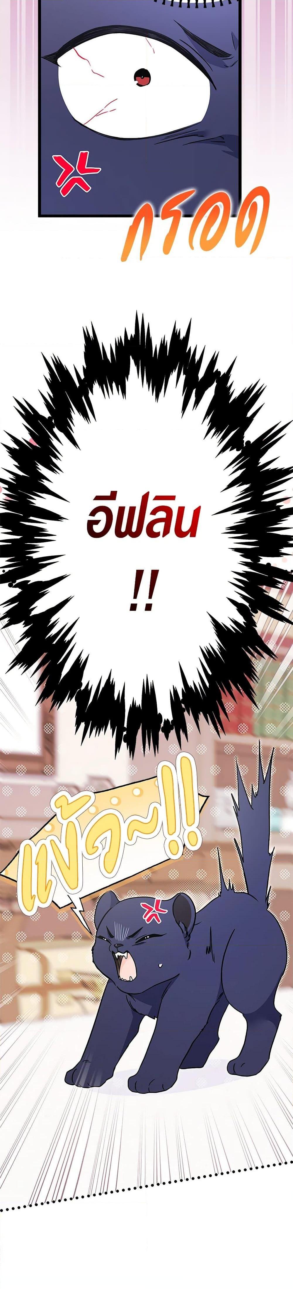 Manga-lc-com อ่านมังงะ อ่านการ์ตูน ออนไลน์ ฟรี The Symbiotic Relationship Between a Panther and a Rabbit ตอนที่ 1 2 3 4 5 6 7 8 9 10 11 12 13 14 ฟรี ไม่มีโฆษณา Manga-lc - อ่าน มังงะ อ่าน การ์ตูน ออนไลน์ อ่านมังงะ ฟรี