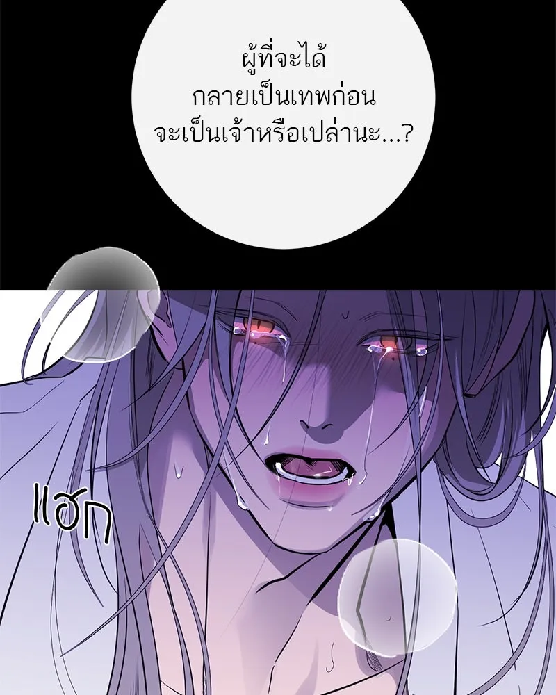 ตำนานเทพธิดาตกสวรรค์ ตอนที่ 76 รูปที่ 14