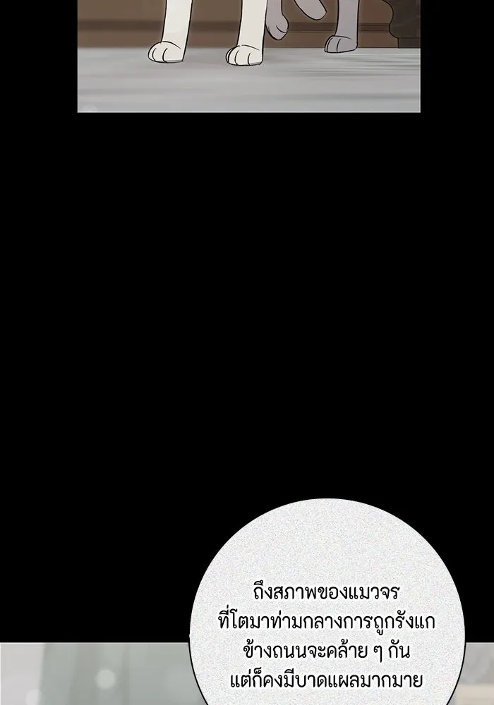 ขอวิธีส่งสามีลงนรก ตอนที่ 12 รูปที่ 85