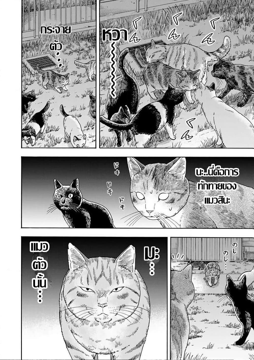 Manga-lc-com อ่านมังงะ อ่านการ์ตูน ออนไลน์ ฟรี Yuzuki Becomes A Cat ตอนที่ 1 2 3 4 5 6 7 8 9 10 11 12 13 14 ฟรี ไม่มีโฆษณา Manga-lc - อ่าน มังงะ อ่าน การ์ตูน ออนไลน์ อ่านมังงะ ฟรี