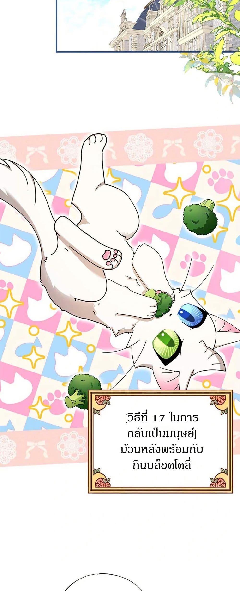 Manga-lc-com อ่านมังงะ อ่านการ์ตูน ออนไลน์ ฟรี I Became the Emperor’s Cat ตอนที่ 1 2 3 4 5 6 7 8 9 10 11 12 13 14 ฟรี ไม่มีโฆษณา Manga-lc - อ่าน มังงะ อ่าน การ์ตูน ออนไลน์ อ่านมังงะ ฟรี