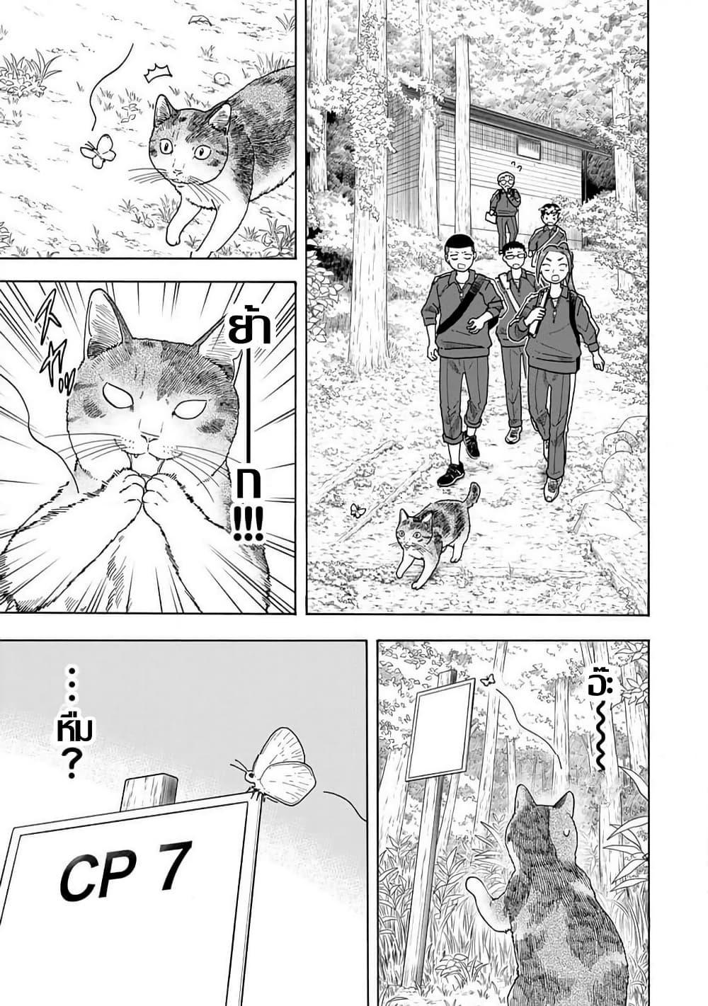 Manga-lc-com อ่านมังงะ อ่านการ์ตูน ออนไลน์ ฟรี Yuzuki Becomes A Cat ตอนที่ 1 2 3 4 5 6 7 8 9 10 11 12 13 14 ฟรี ไม่มีโฆษณา Manga-lc - อ่าน มังงะ อ่าน การ์ตูน ออนไลน์ อ่านมังงะ ฟรี