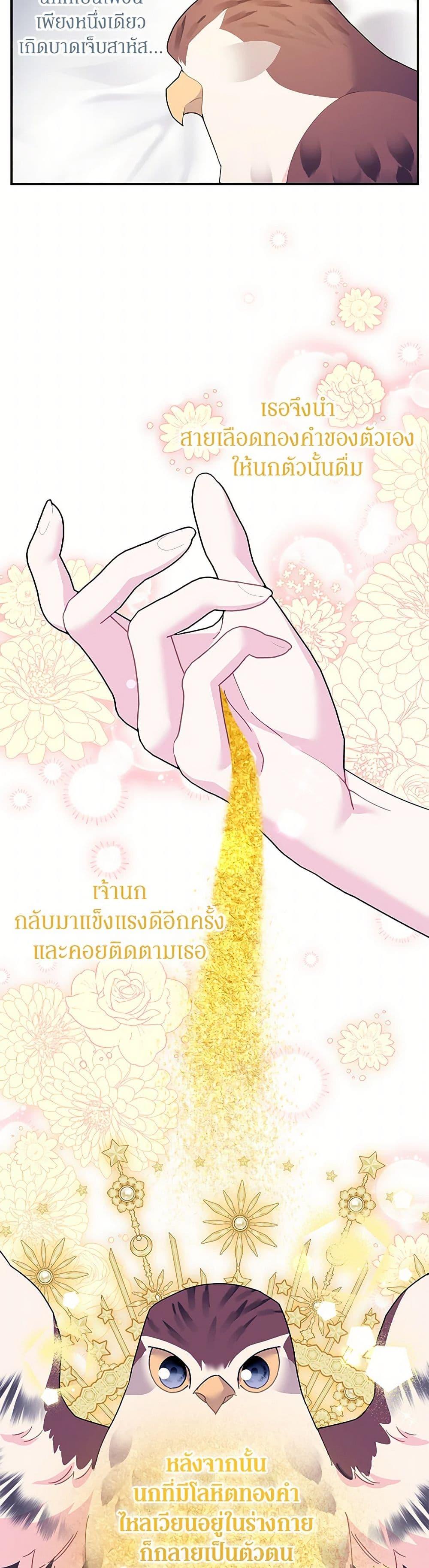 Manga-lc-com อ่านมังงะ อ่านการ์ตูน ออนไลน์ ฟรี The Falcon Princess ตอนที่ 1 2 3 4 5 6 7 8 9 10 11 12 13 14 ฟรี ไม่มีโฆษณา Manga-lc - อ่าน มังงะ อ่าน การ์ตูน ออนไลน์ อ่านมังงะ ฟรี