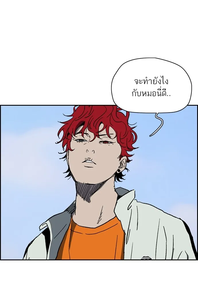 ปั่นสู้ฝันbrWind Breaker ตอนที่ 92 รูปที่ 5