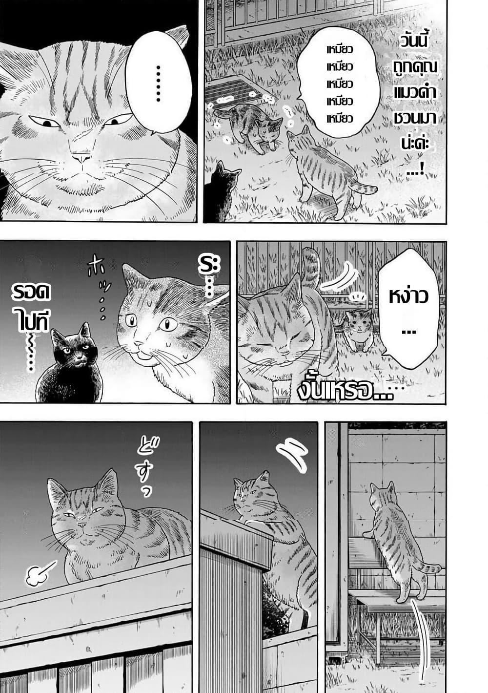 Manga-lc-com อ่านมังงะ อ่านการ์ตูน ออนไลน์ ฟรี Yuzuki Becomes A Cat ตอนที่ 1 2 3 4 5 6 7 8 9 10 11 12 13 14 ฟรี ไม่มีโฆษณา Manga-lc - อ่าน มังงะ อ่าน การ์ตูน ออนไลน์ อ่านมังงะ ฟรี