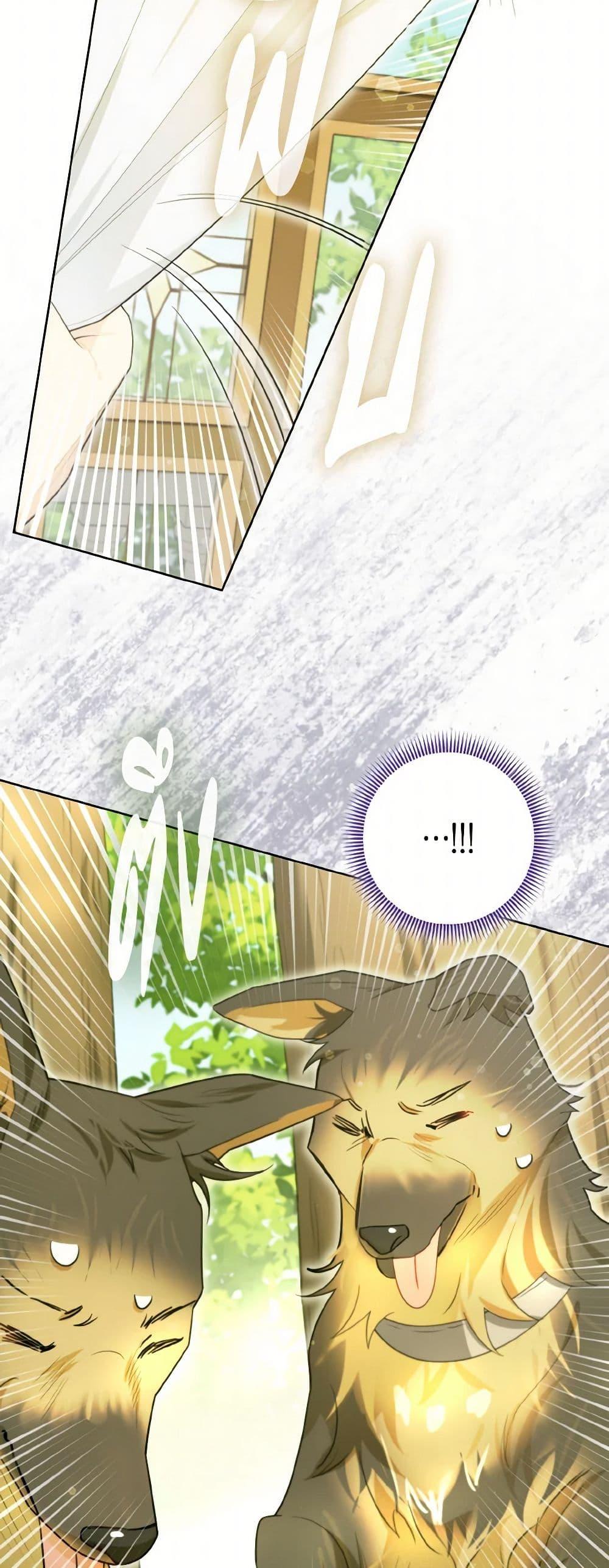 Manga-lc-com อ่านมังงะ อ่านการ์ตูน ออนไลน์ ฟรี I Possessed a Villainess, but I Wanna Raise Cats! ตอนที่ 1 2 3 4 5 6 7 8 9 10 11 12 13 14 ฟรี ไม่มีโฆษณา Manga-lc - อ่าน มังงะ อ่าน การ์ตูน ออนไลน์ อ่านมังงะ ฟรี