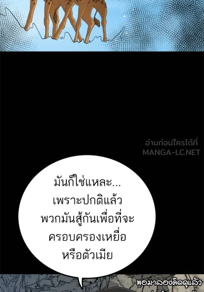 BAD GUY ตอนที่ 239 รูปที่ 38