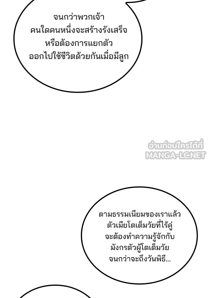 ครัวจอมเวท ตอนที่ 69 รูปที่ 141