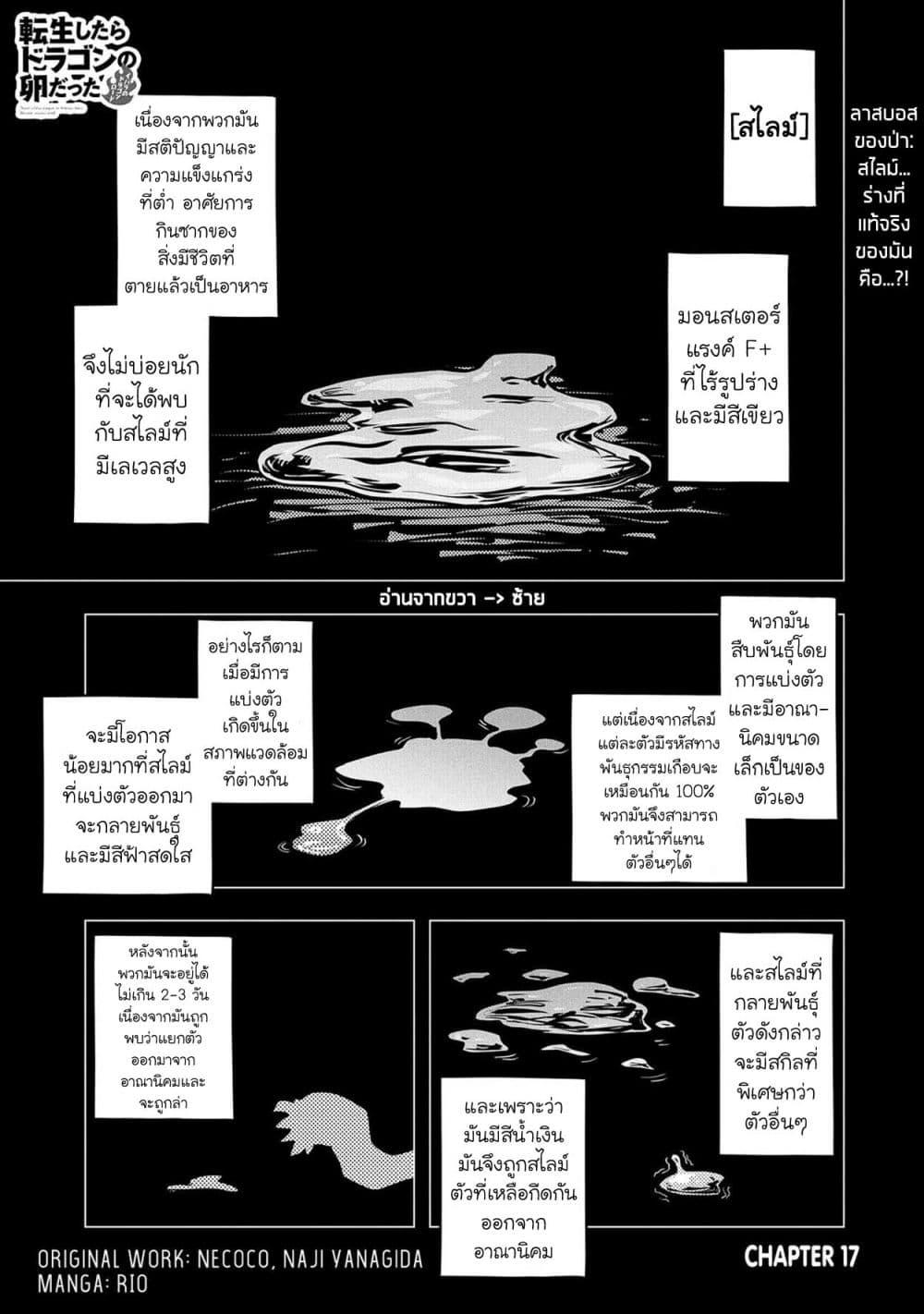 Manga-lc-com อ่านมังงะ อ่านการ์ตูน ออนไลน์ ฟรี Tensei Shitara Dragon no Tamago Datta – Saikyou Igai Mezasa Nee ตอนที่ 1 2 3 4 5 6 7 8 9 10 11 12 13 14 ฟรี ไม่มีโฆษณา Manga-lc - อ่าน มังงะ อ่าน การ์ตูน ออนไลน์ อ่านมังงะ ฟรี