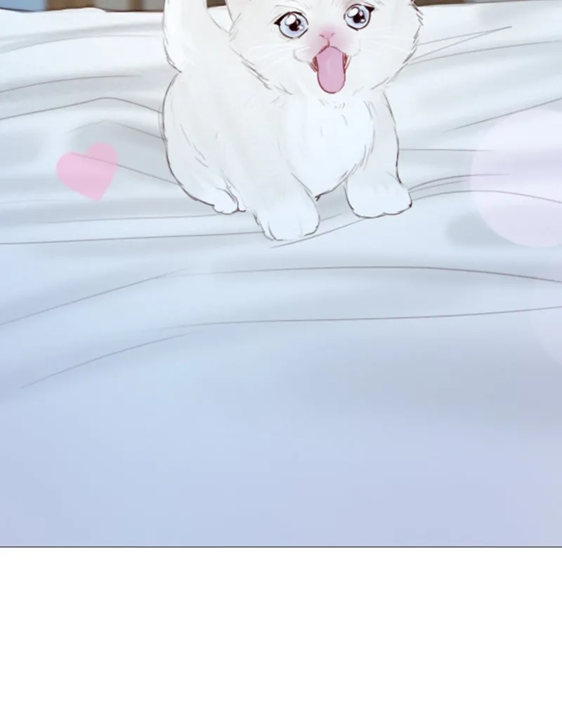 เซเรน่า ตอนที่ 51 รูปที่ 56