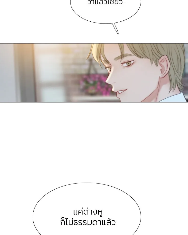 เซเรน่า ตอนที่ 17 รูปที่ 62