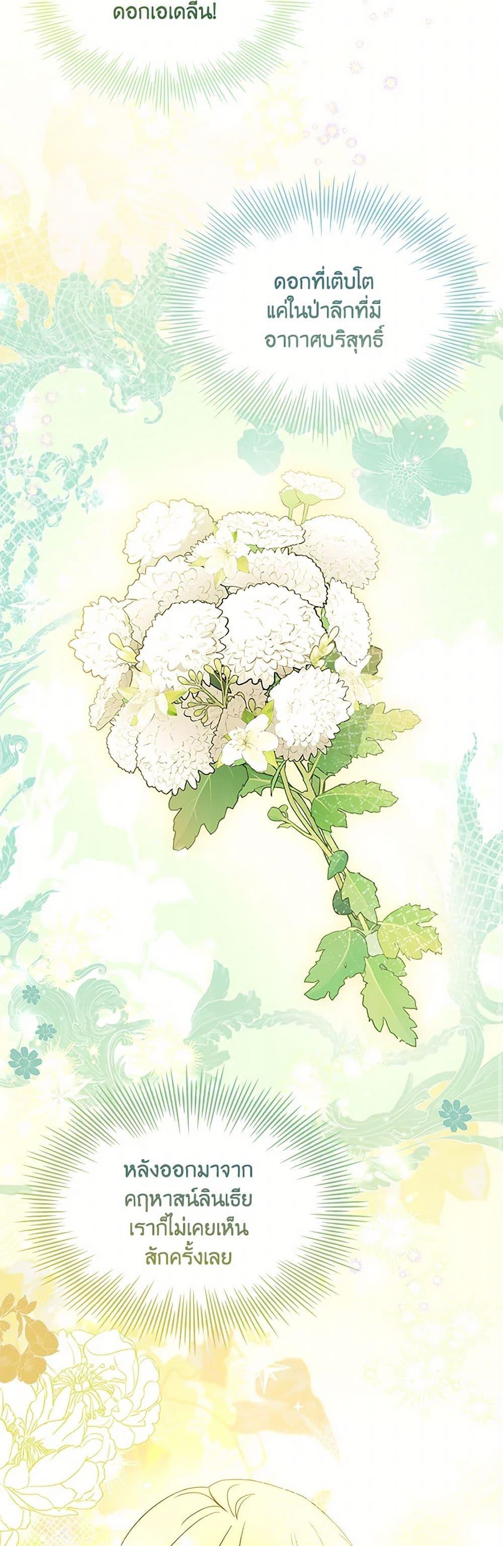 Manga-lc-com อ่านมังงะ อ่านการ์ตูน ออนไลน์ ฟรี Happy Sea World ตอนที่ 1 2 3 4 5 6 7 8 9 10 11 12 13 14 ฟรี ไม่มีโฆษณา Manga-lc - อ่าน มังงะ อ่าน การ์ตูน ออนไลน์ อ่านมังงะ ฟรี