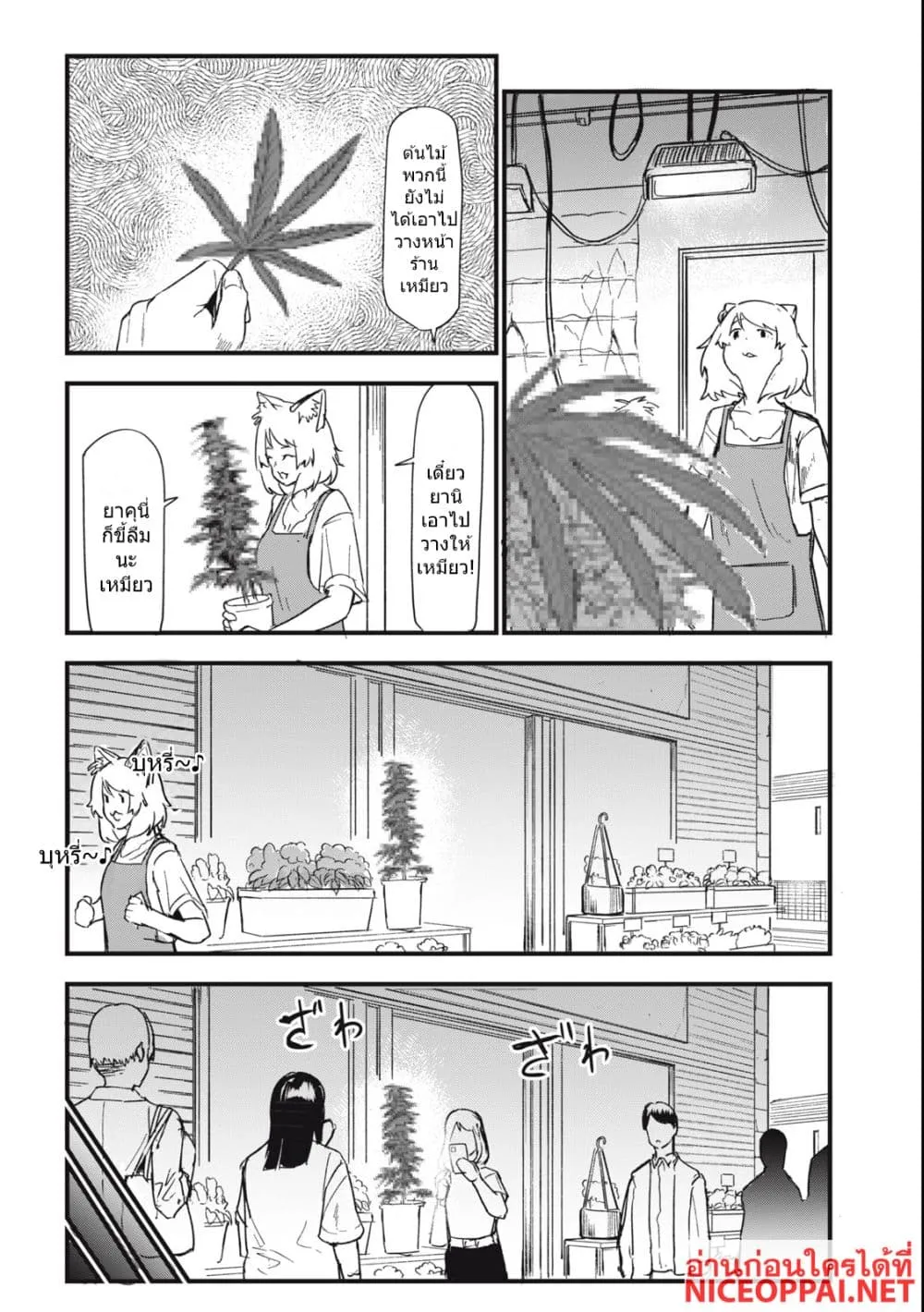 Manga-lc-com อ่านมังงะ อ่านการ์ตูน ออนไลน์ ฟรี Yani Neko ตอนที่ 1 2 3 4 5 6 7 8 9 10 11 12 13 14 ฟรี ไม่มีโฆษณา Manga-lc - อ่าน มังงะ อ่าน การ์ตูน ออนไลน์ อ่านมังงะ ฟรี