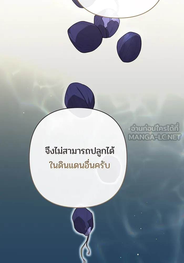 หนูน้อยทรราช ตอนที่ 108 รูปที่ 102