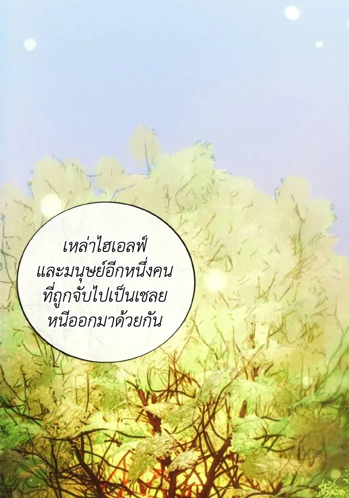 ศึกชิงบัลลังก์เทพเจ้ ตอนที่ 137 รูปที่ 38